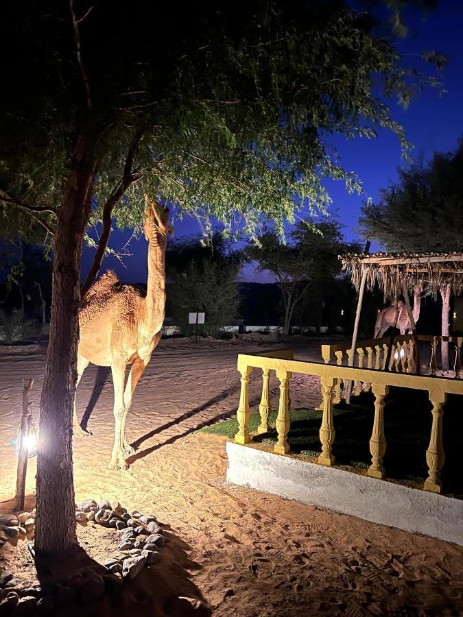 Hotel Golden Palm Oasis Fulayj al Masha'ikh Exterior foto